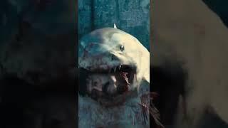 King Shark VS Juggernaut VS Hulk Who is Stronger #shorts #vs #training