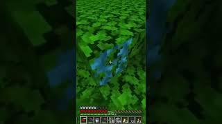 Blue vines in my hardcore world???