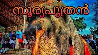 #Karnan mass whatsapp status | Pokkirisimon mixed |  Kerala elephants mass whatsapp status #കർണൻ