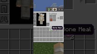 How To Make a Pink Bundle In Minecraft #Shorts