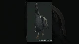 The New Black Bear Warning Call Is TERRIFYING! Call of the wild Askiy Ridge Early Access #shorts