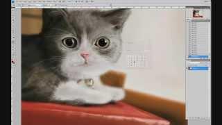 Ускоренное рисование кошки / Speed Painting Adobe Photoshop