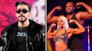 10 BEST Celebrity Wrestling Matches