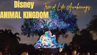 [4k]Tree of Life Awakenings Christmas Edition at Disney's Animal Kingdom|Walt Disney World