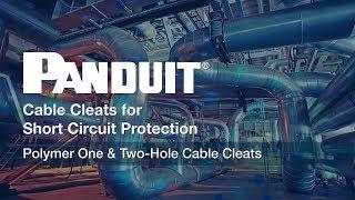 Panduit Cable Cleats for Short Circuit Protection – Polymer One & Two-Hole Cable Cleat