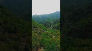 "Lost in the Mountains – Beauty of Nature | Travel Diary R.A"