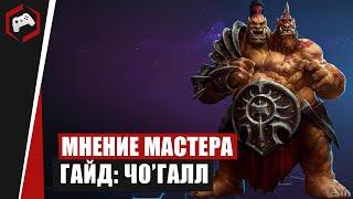 МНЕНИЕ МАСТЕРА: #209 «Holy» (Гайд - ЧоГалл) | Heroes of the Storm