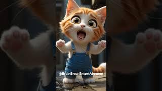 Kitten’s Teddy Falls in Gutter  Emotional Cat Rescue Story