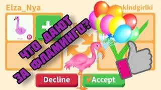 Что Дают за Фламинго в Адопт ми? Trading Ride Flamingo Adopt me 2021