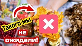 Такого мы ещё не получали! Это не посылка, это целый баул!!!