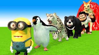 Long Slide Game With Cow Penguin Leopard Bear kangaroo Monkey 3d Animal Game Funny 3d Animals