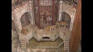 Fort Boyard (Форт Боярд). Серия 1. Русский сезон.