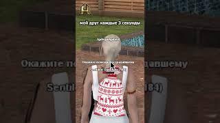 Промокод QLUVIK | HASSLE ONLINE / RADMIR CRMP / GTA 5 в телефоне