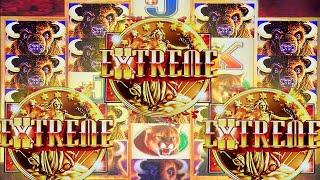 IT FINALLY HAPPENED! EXTREME COINS ARRIVE!!