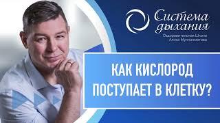 Как увеличить поступление кислорода в клетках?