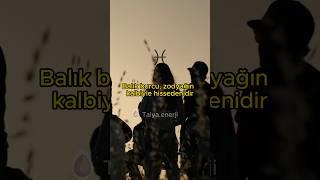 Balık burcu kalbinize dokunan bir liman #balıkburcu #astroloji #şifalıtaşlar #astrolojiyorumu