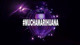 Cartel de Santa - Mucha Marihuana #VIEJOMARIHUANO