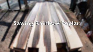 Sawing Rainbow Poplar With a Fast Wood-Mizer LT-70 Bandsaw Sawmill at Hobby Hardwood