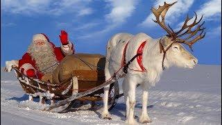 Babbo Natale: le piu belle escursioni con le renne  Santa Claus Lapponia Finlandia Rovaniemi