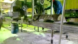 Band saw in sawmill