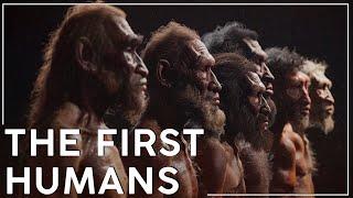 Why is The Paleolithic The Longest Era of Human History?