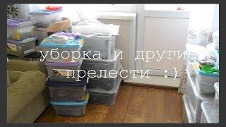 Расселение улиток и другие повседневные дела