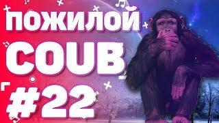 Пожилой COUB #22 | лучшие моменты за сентябрь 2019 / anime amv / gif / mycoubs / аниме / mega coub