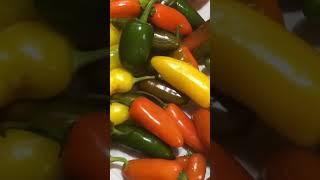How to Preserve the garden harvest #gardeninghomesteadingskills #garden #homestead