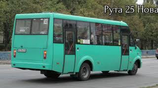 Модели автобусов "Рута"