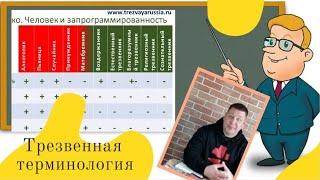 #37 Основные трезвенные определения. Метод Шичко. Как бросить пить.