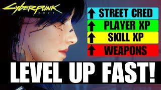 Cyberpunk 2077 - Level Up EVERYTHING FAST! XP| Street Cred | Attribute Points | Best XP Farm