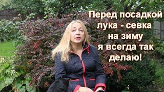 Всегда так делаю при посадке лука осенью. Как посадить лук севок правильно - Дом и Сад, Александра