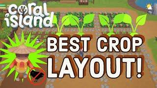 Coral Island Best Crop Layout