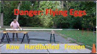 Egg Cannon   400+ mph  raw hardboiled frozen Comparison