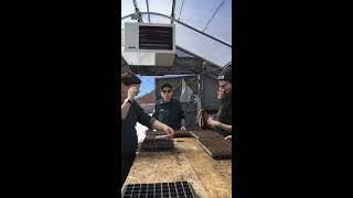 Planting Cabbage Seeds + Your Spot on a Crew!