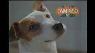 Propaganda Tampico: Perro que habla (Años 90)