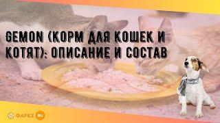 Gemon (корм для кошек и котят): описание и состав