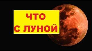Что с Луной. Опасно ли сближение. Суперлуние и розовая Луна что принесут Земле. Колдовская Луна.