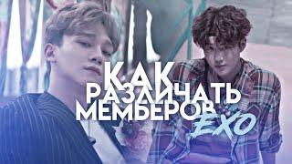 Как различать мемберов EXO  K-POP