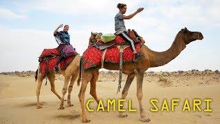 Camel Safari In Jaisalmer-INDIA Tourism Travel Guide