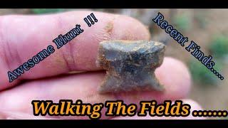 Arrowheads : Walking The Fields  !!