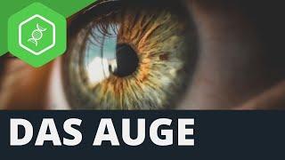 Das Auge