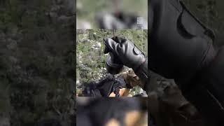 Dog & Two Hikers Rescued From Arizona Canyon