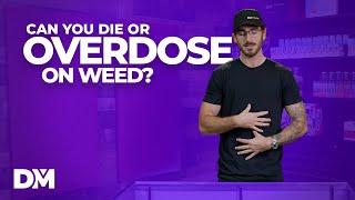 Can You Overdose:Die On Weed - DistroMike