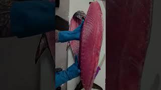 Mastering the Art of Cutting Big Tuna Fish | Step-by-Step Tuna Cutting Process  #tunacutting
