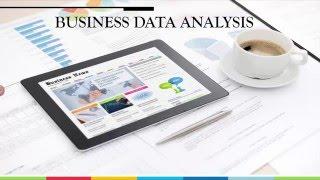 Business Data Analysis Training with Excel