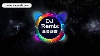 DJ Yanis 林燕婷 - Passenger ทางผ่าน 中文版【MKJERRY 慢摇Remix】