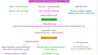 Effect of thyroid hormone on sleep, hormones, sexual functions, tone Chapter 77 part 7 Guyton & Hall