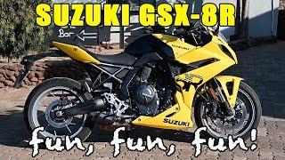 Suzuki GSX-8R - more joy for less money.