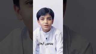 pakhtoon arman